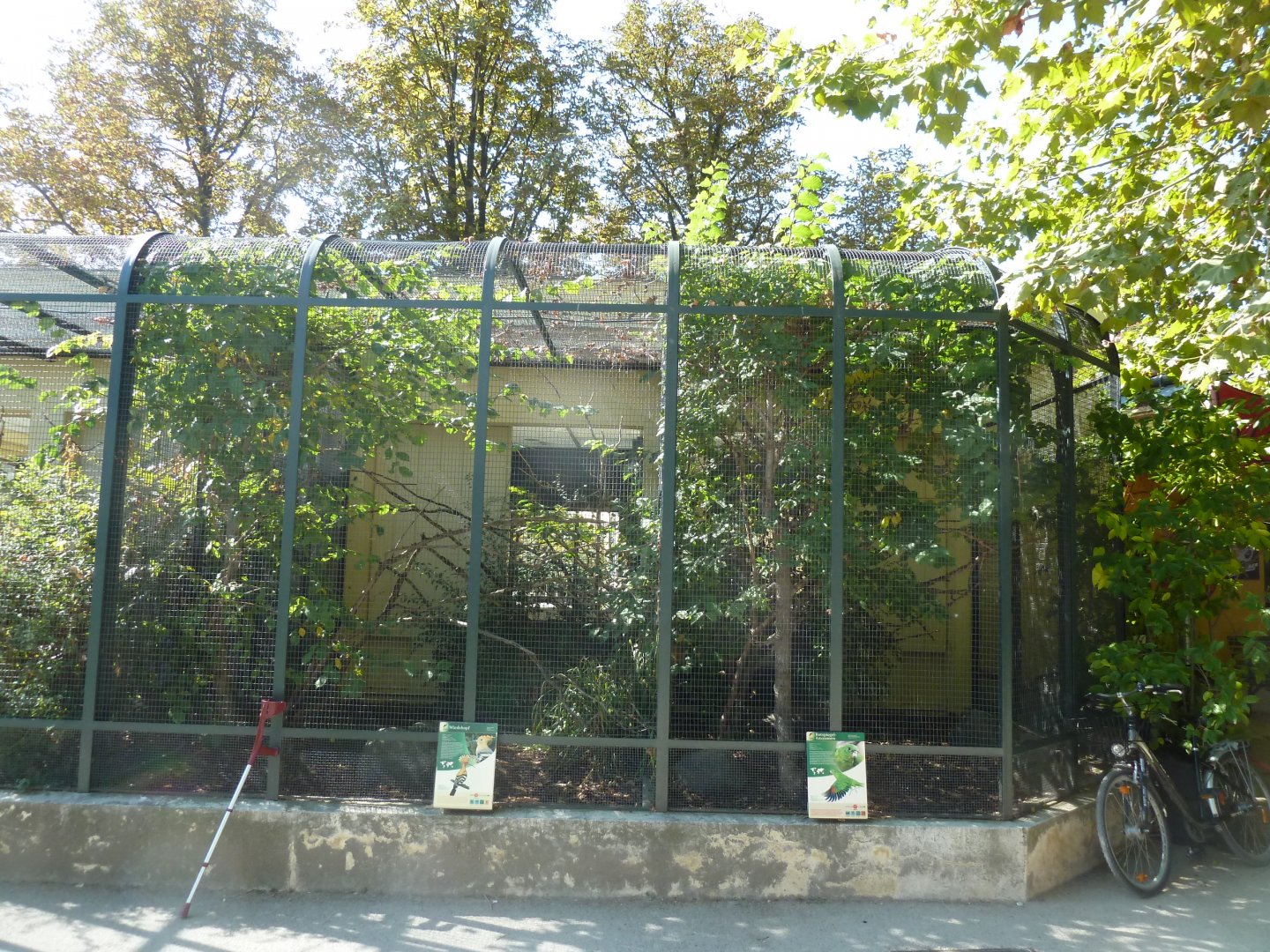 Jamaican amazon aviary