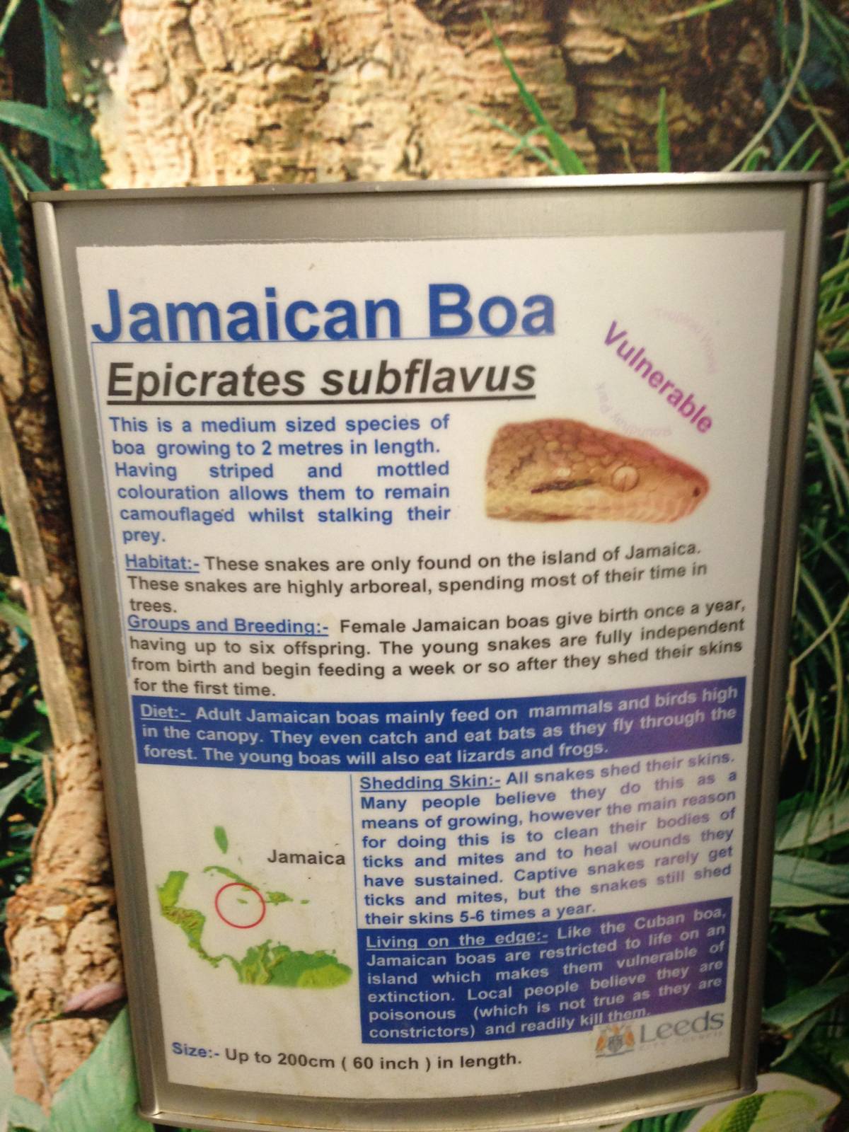 Jamaican Boa Signage at Tropical World - 02/10/2013