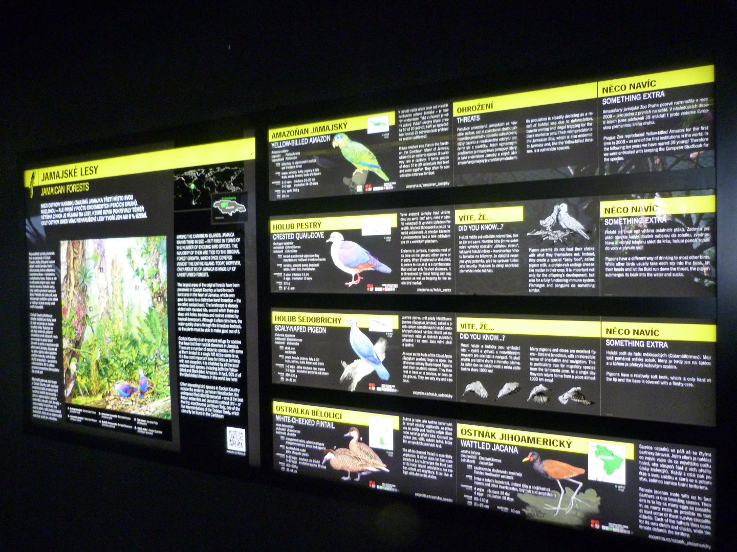 Jamaican exhibit signs -Zoo Praha (2025)