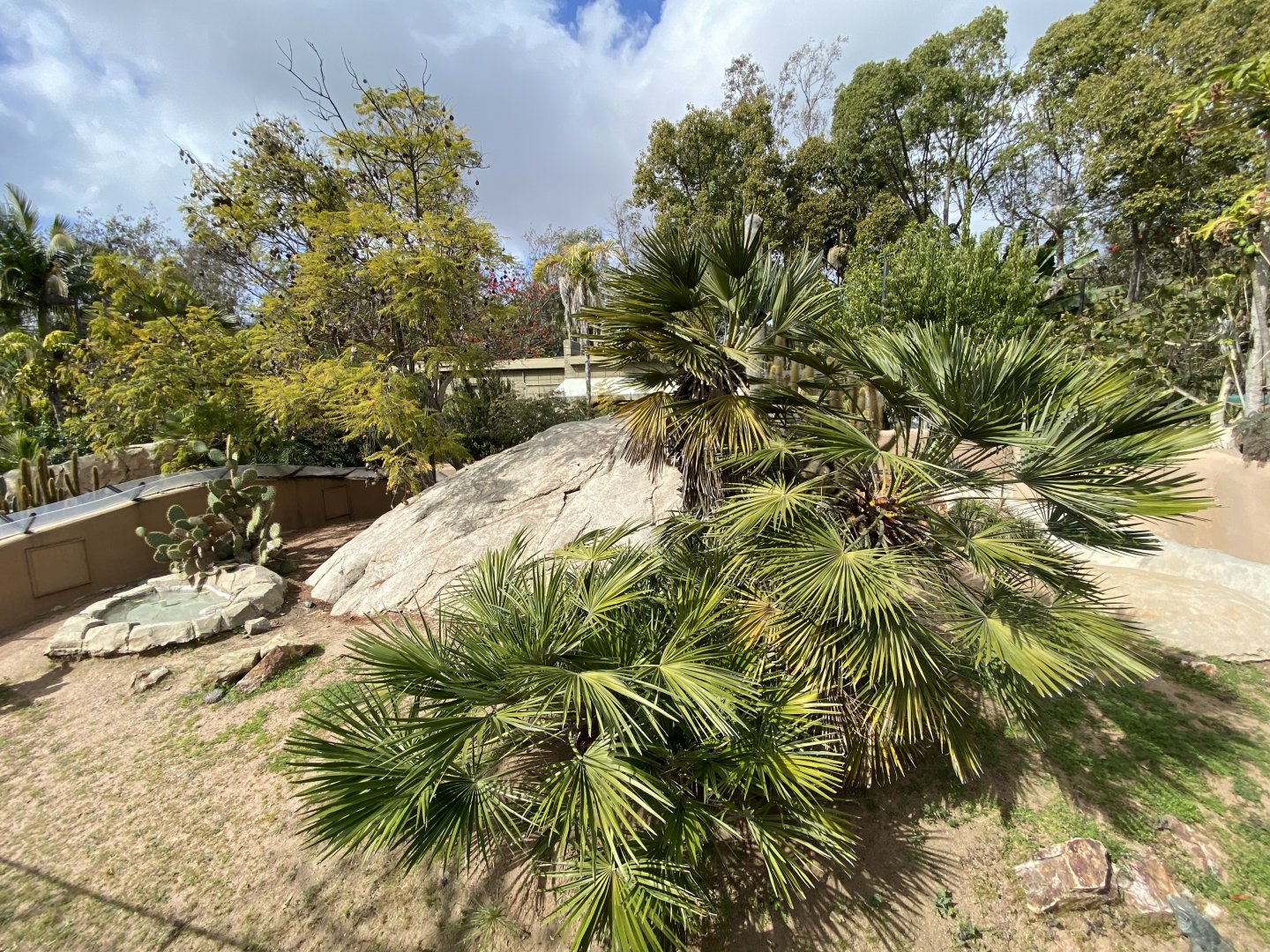 Jamaican Iguana Habitat - Reptile Walk