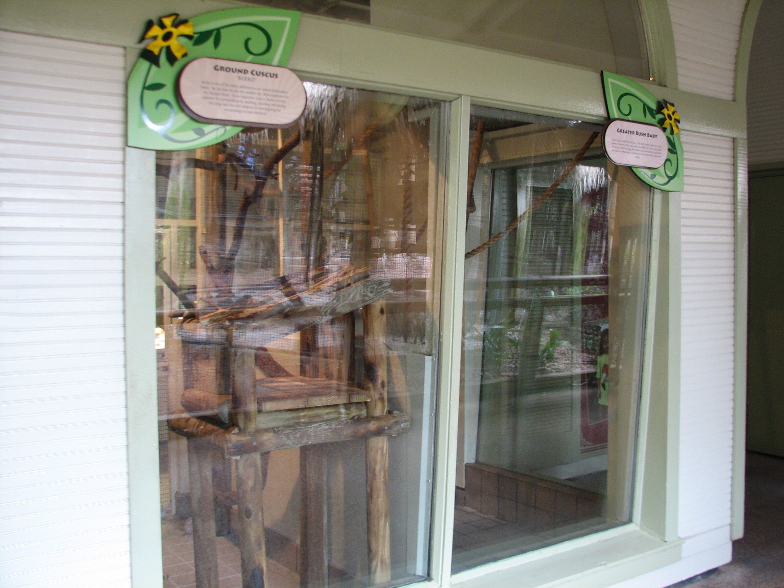 Jambo Junction - Ground Cuscus and Greater Bush Baby Exhibits