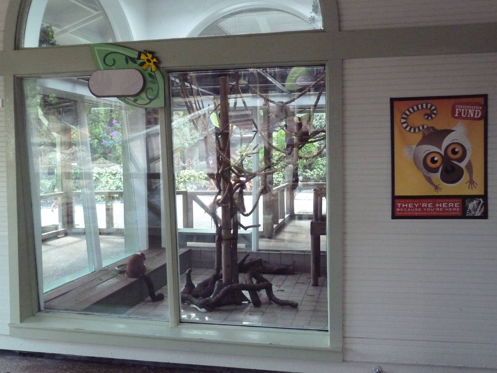 Jambo Junction - Red Ruffed Lemur Exhibit