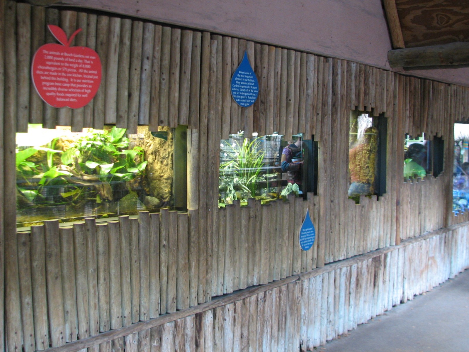 Jambo Junction - Reptile Exhibits