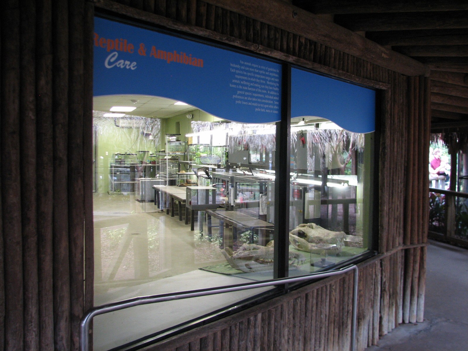 Jambo Junction - Retile and Amphibian Behind-the-Scenes Window