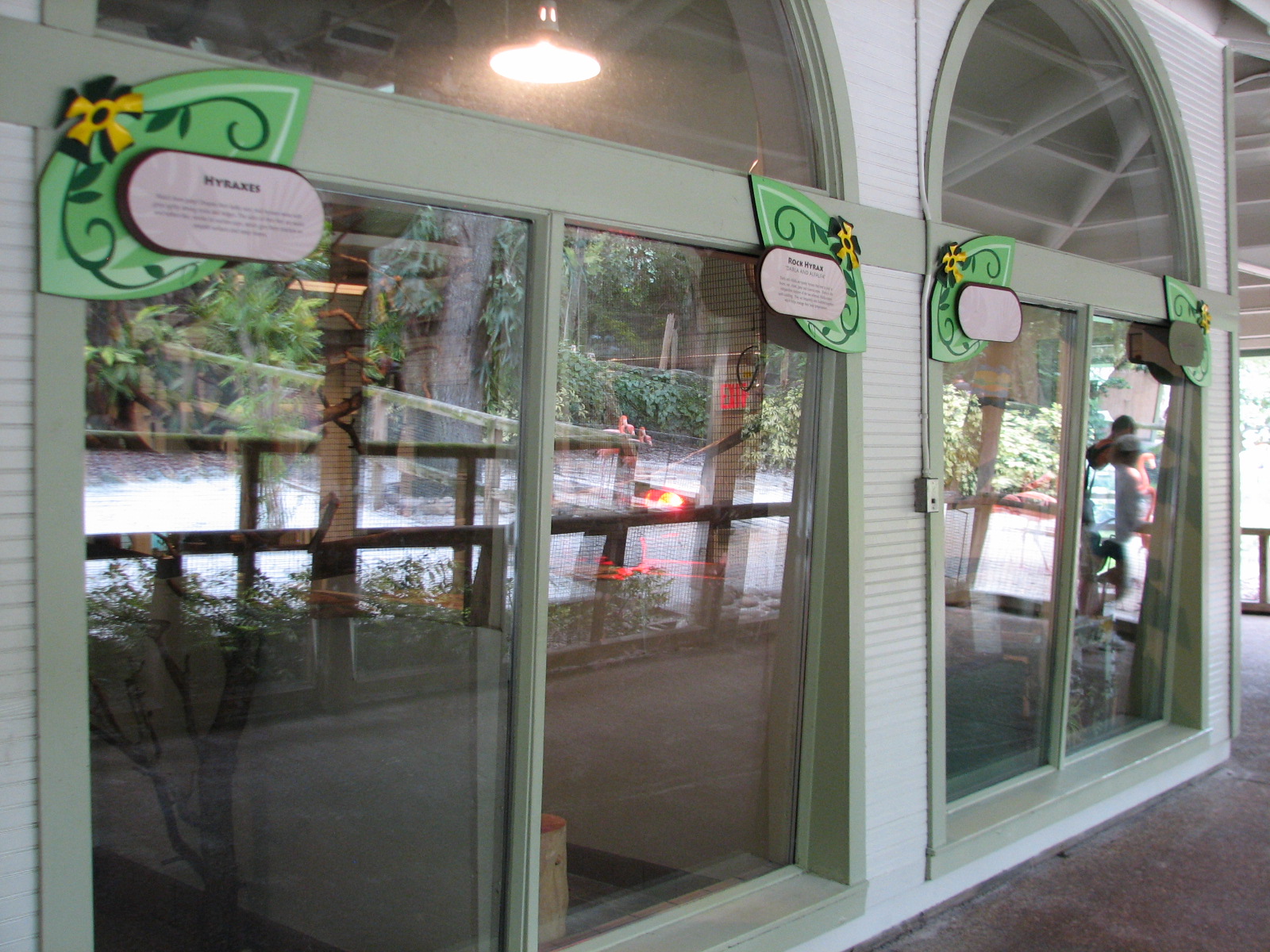 Jambo Junction - Rock Hyrax Exhibits