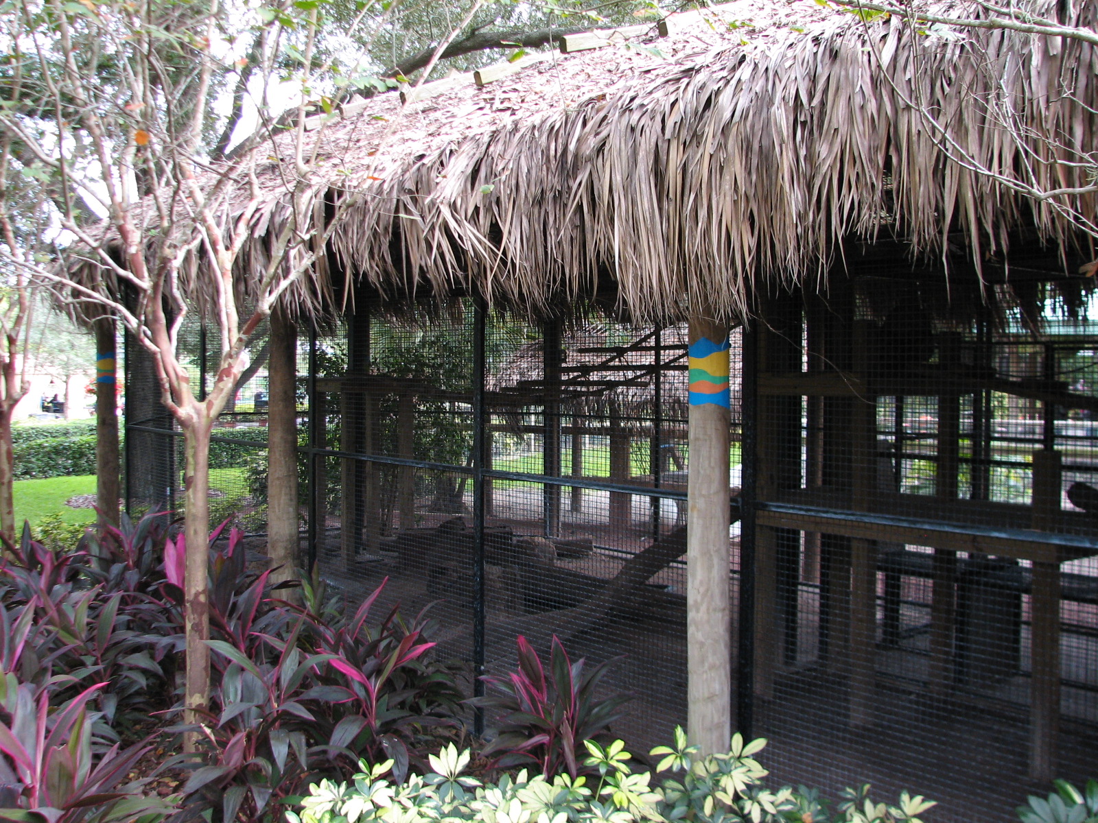 Jambo Junction - Serval Exhibit