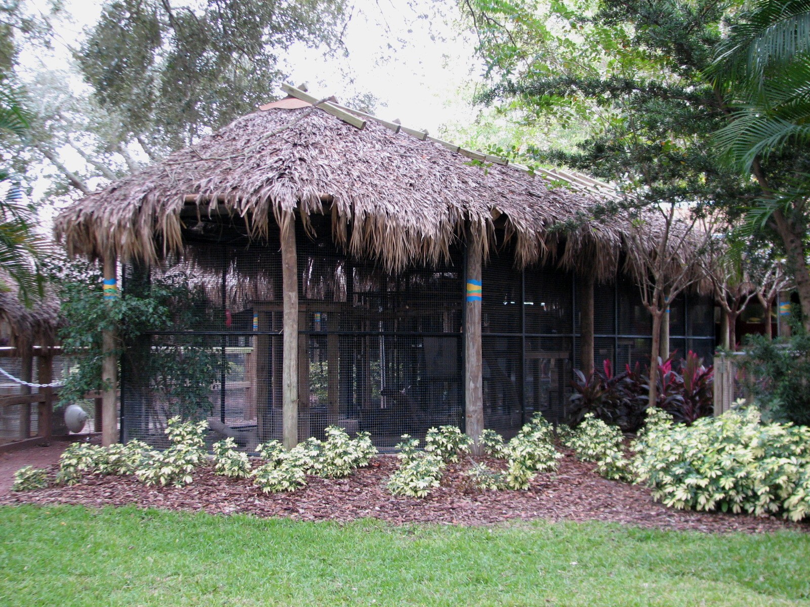 Jambo Junction - Serval Exhibit