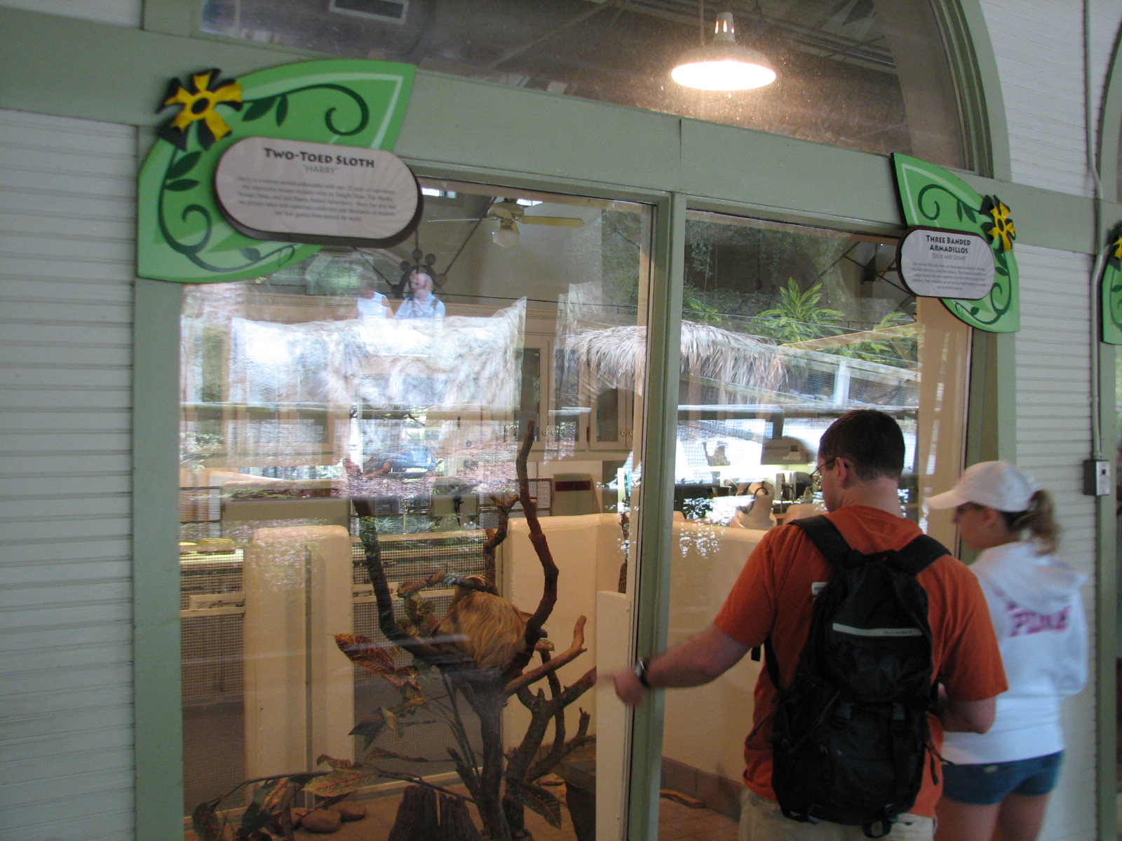 Jambo Junction - Two-toed Sloth and Three-banded Armadillo Exhibit