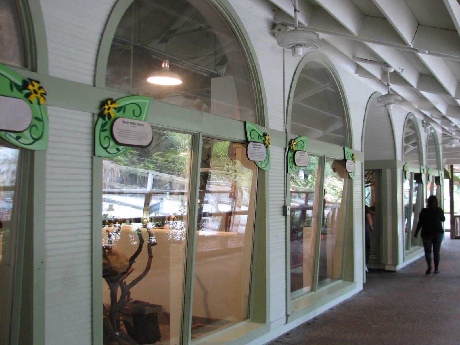 Jambo Junction - Viewing Porch