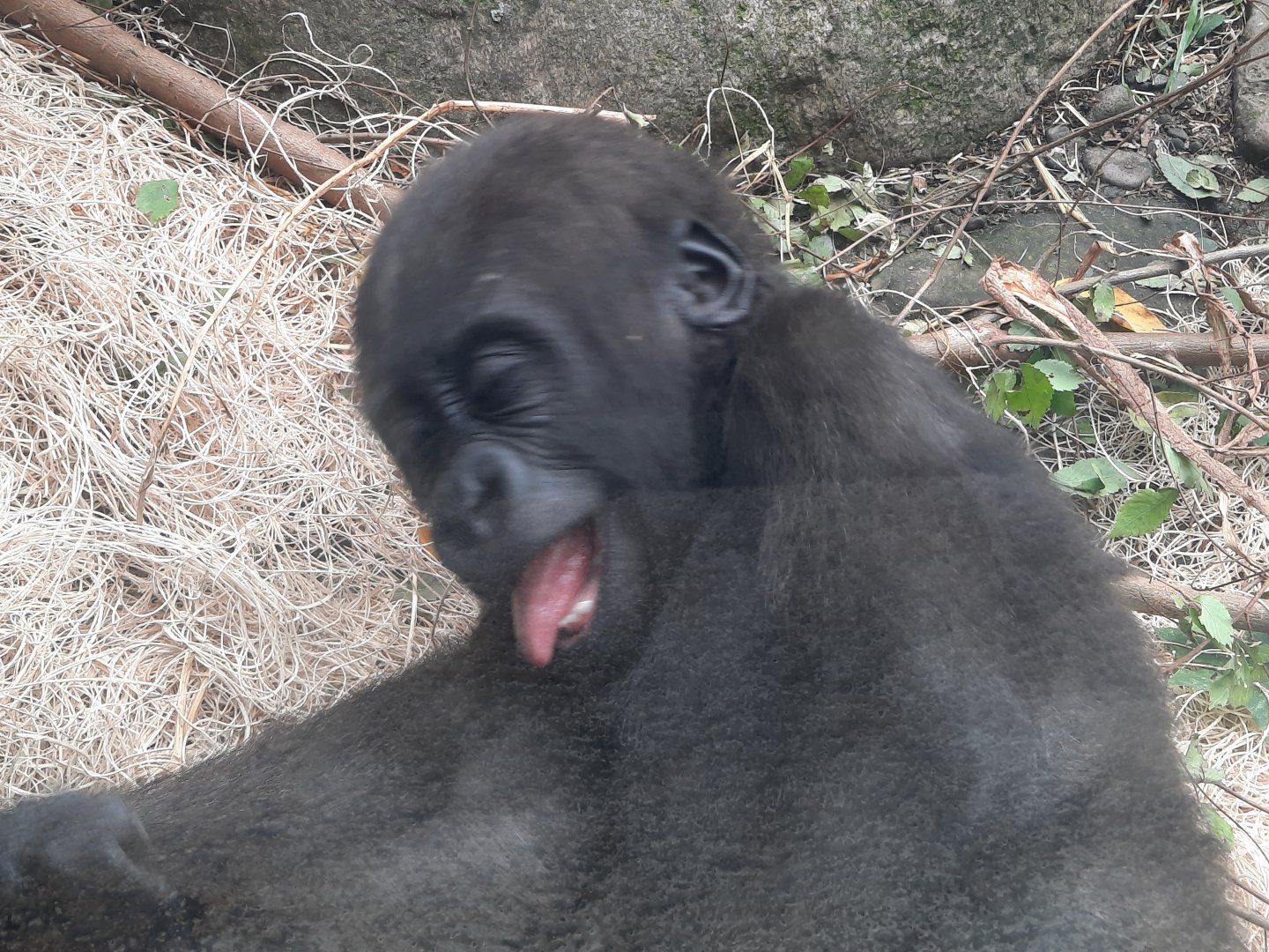 Jameela Making a Face