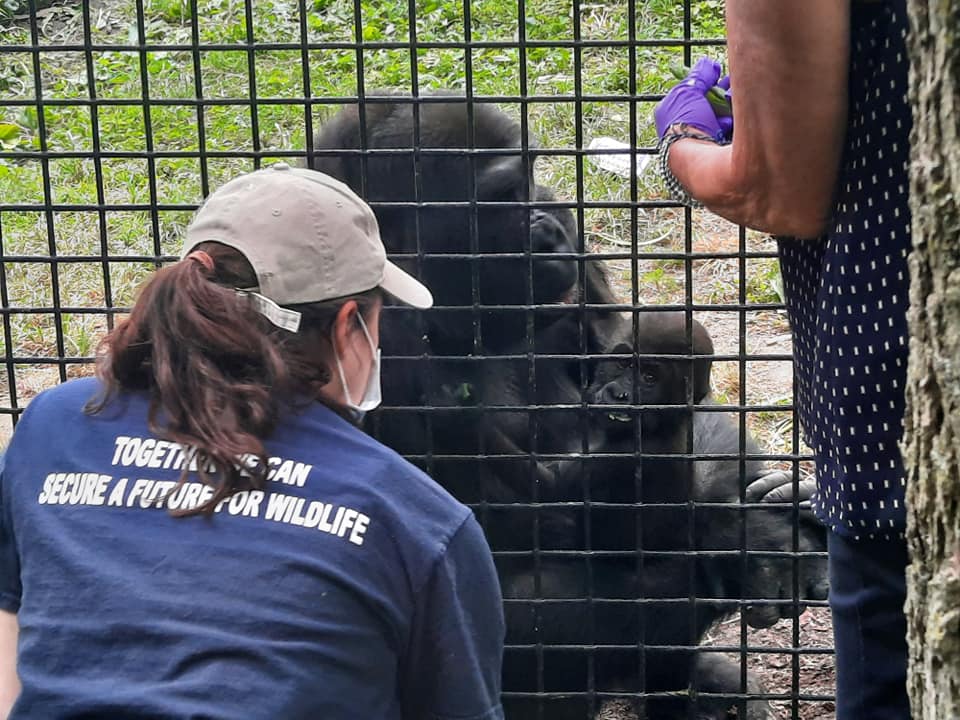 Jameela Training Session