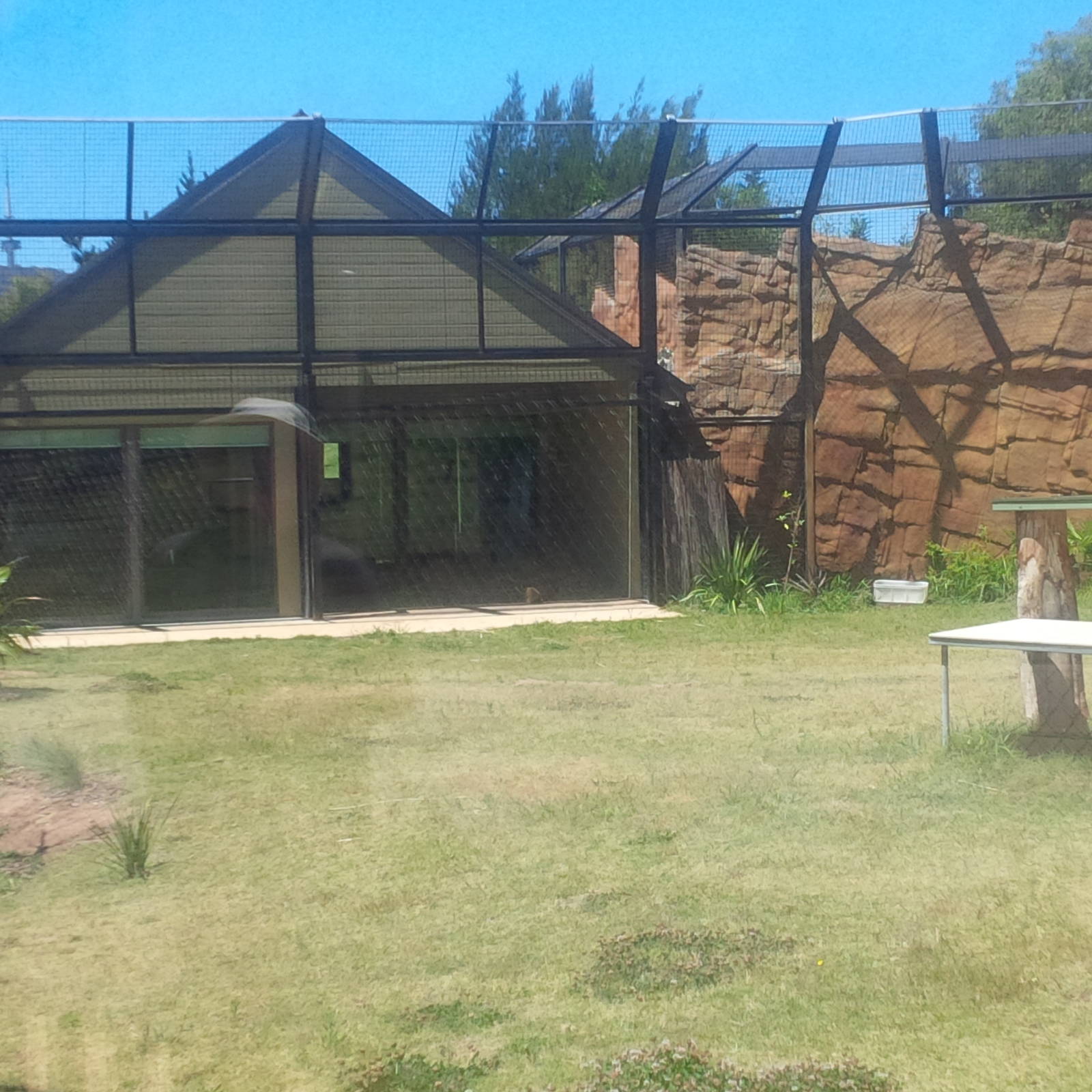 Jamila Lodge from the tiger enclosure