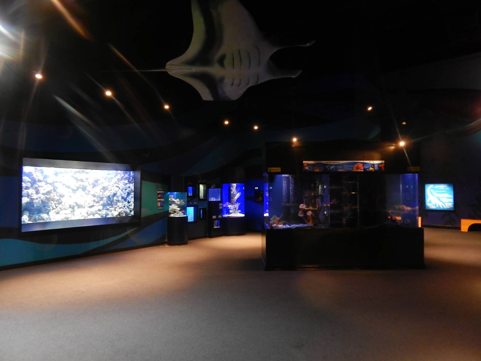 Jan. 2014 - Bizarre and Beautiful Gallery