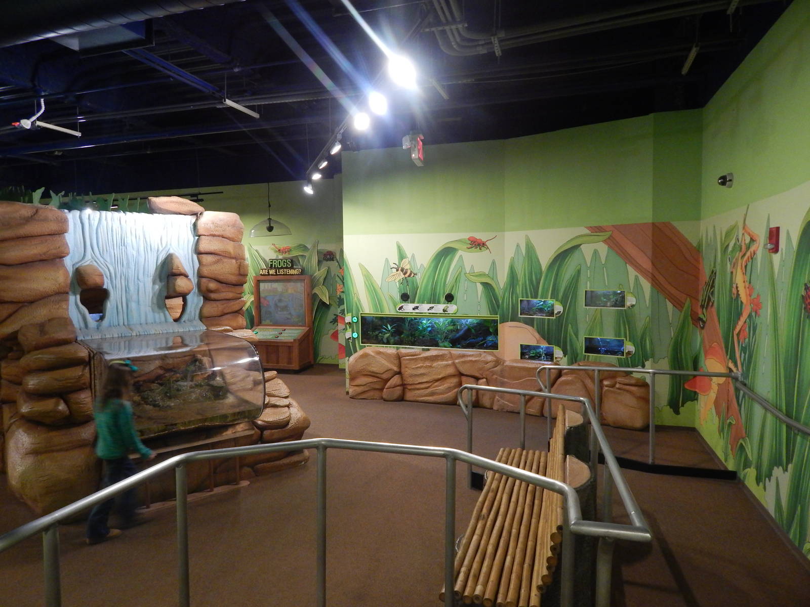 Jan. 2014 - Frog Bog