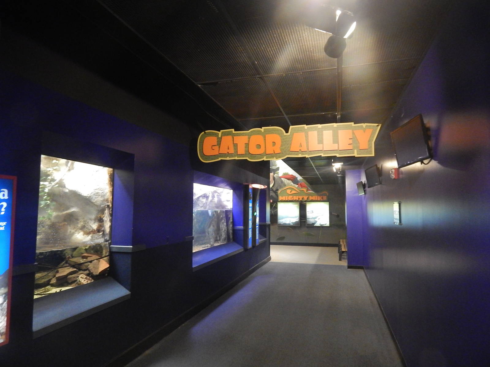 Jan. 2014 - Gator Alley Start