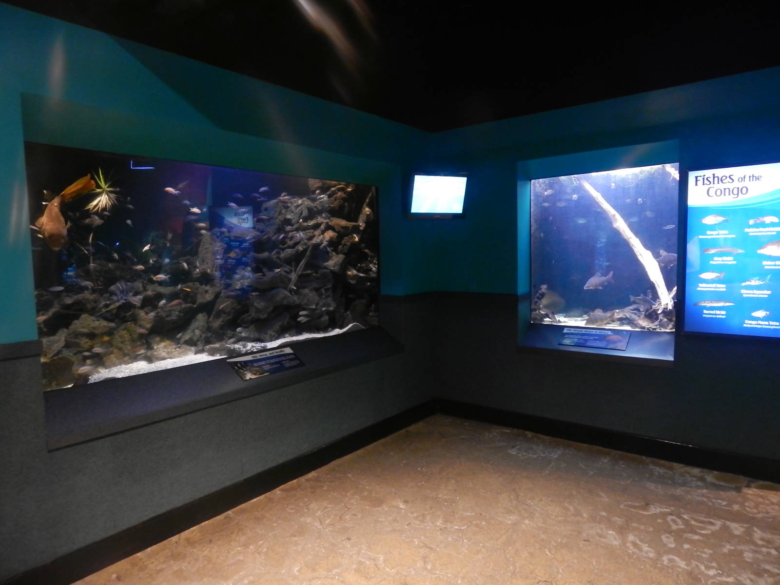 Jan. 2014 - World Rivers - Lake Tanganyika + The Congo River Exhibits