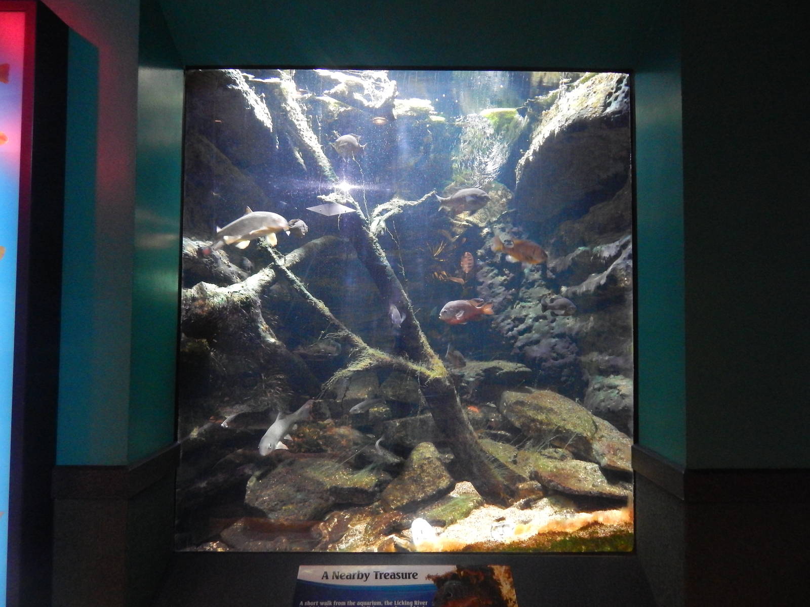 Jan. 2014 - World Rivers - Licking River Exhibit