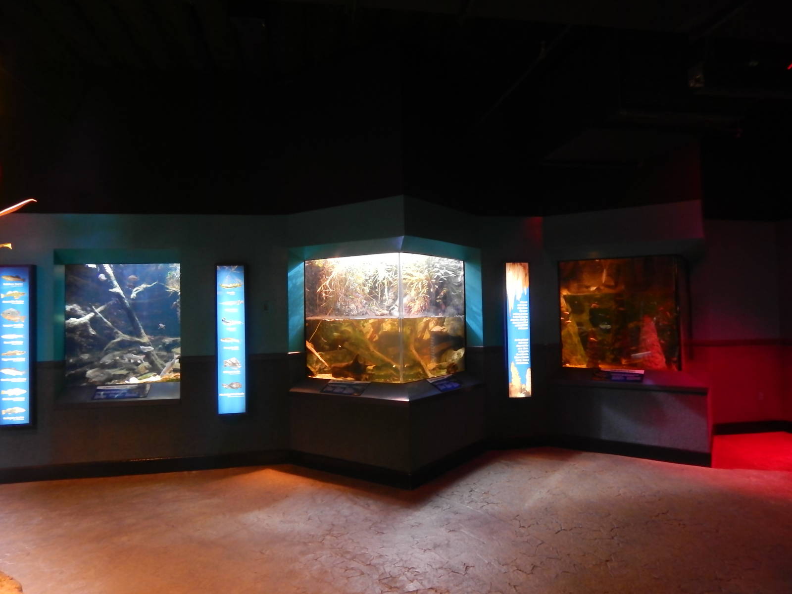 Jan. 2014 - World Rivers - Licking River + The Moving Mississippi + The Cav