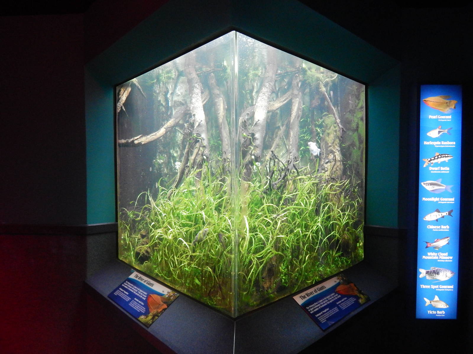 Jan. 2014 - World Rivers - Mekong River Exhibit