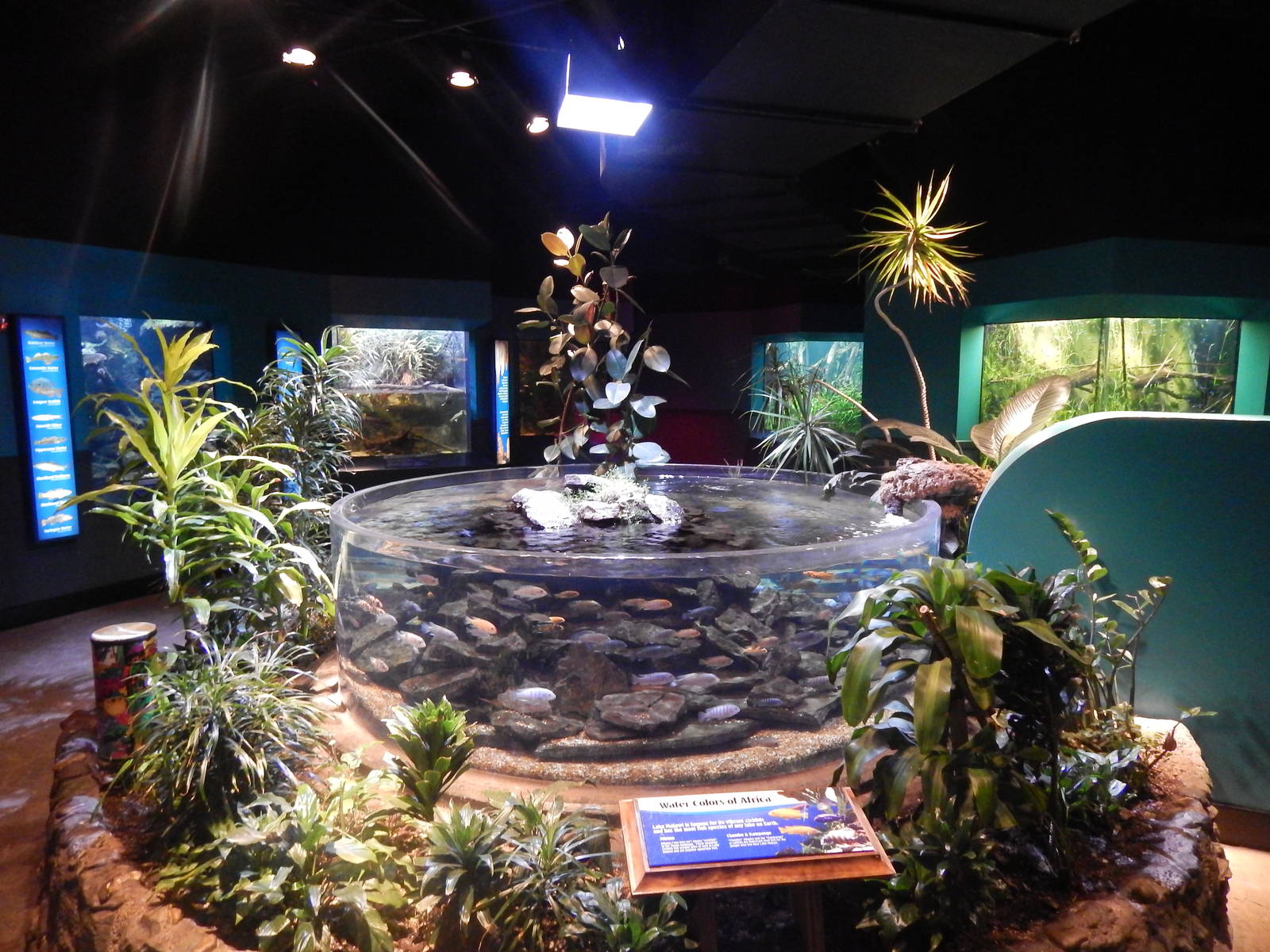 Jan. 2014 - World Rivers