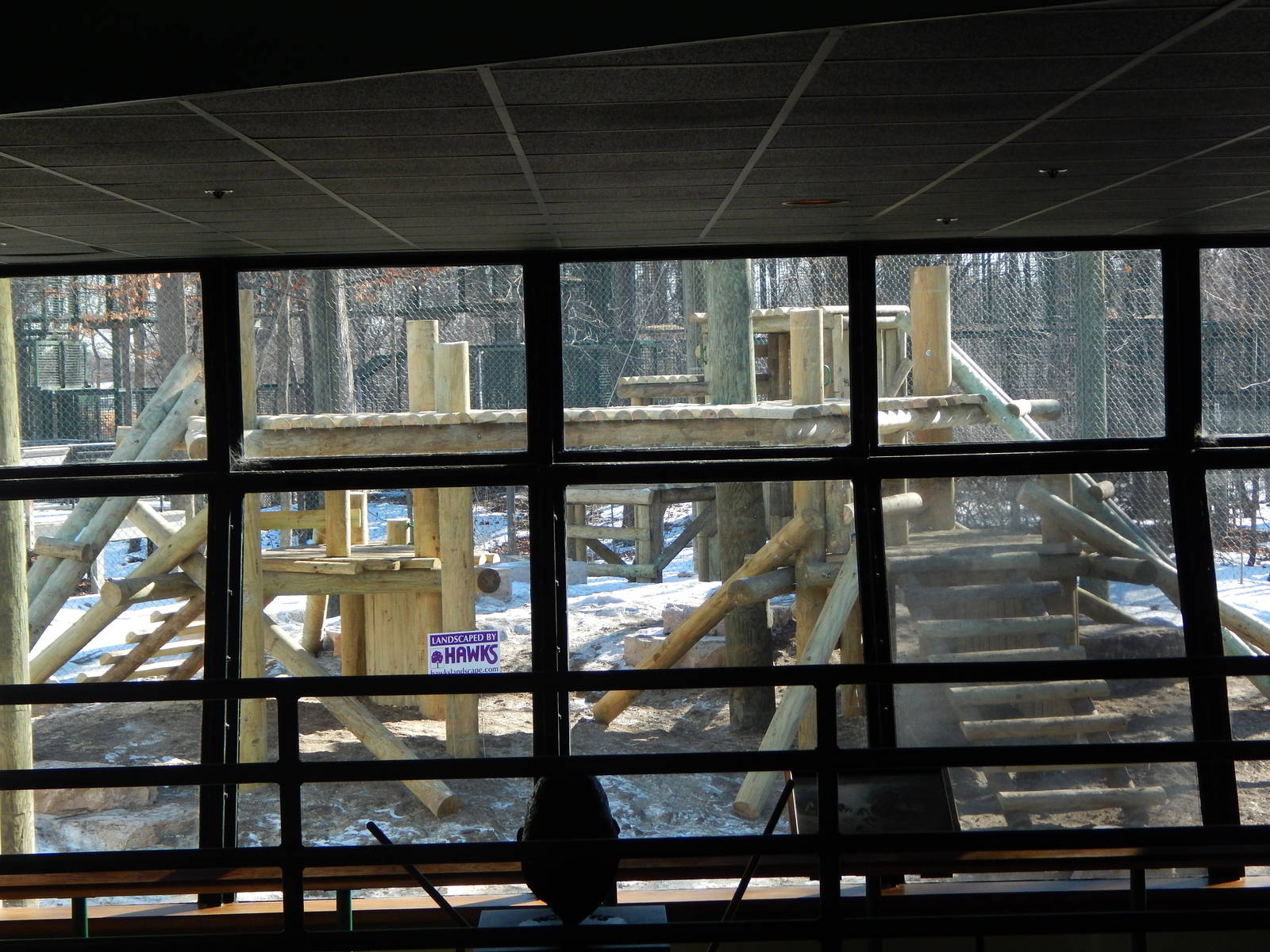 Jan. 2015 - Apes of Africa + Primates of the World - Renovated Gorilla Exhi