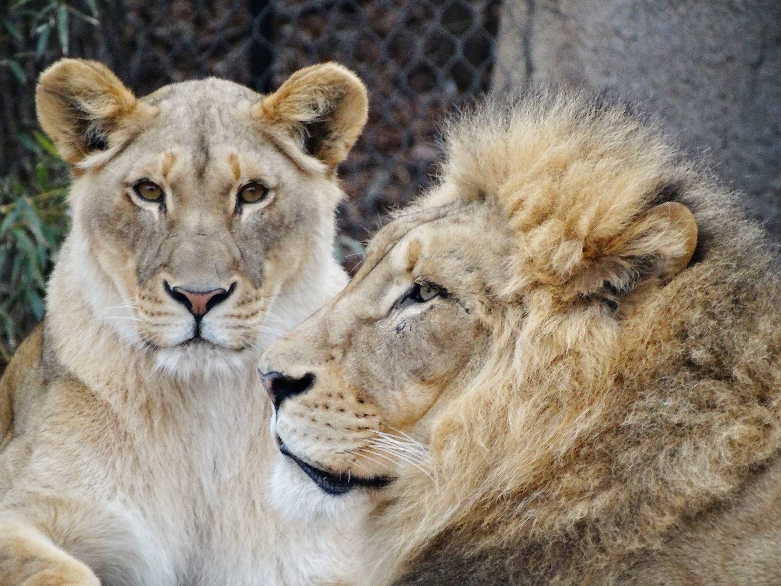 Jan. 2016 - Africa - Imani + John