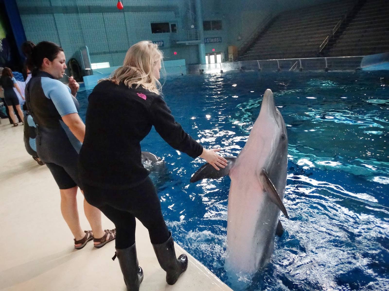 Jan. 2016 - Dolphin Pavilion - Dolphin Experience