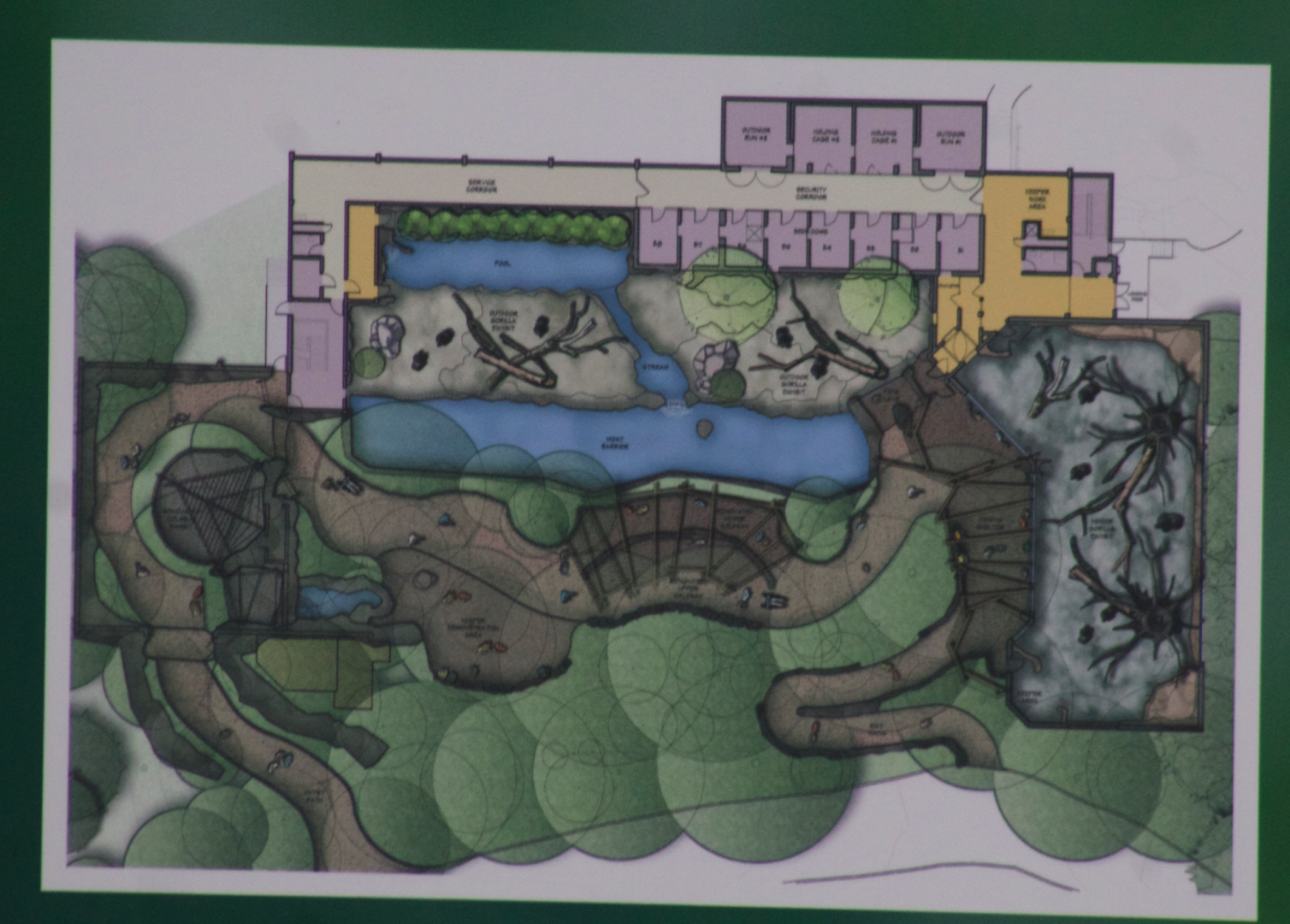 Jan. 2017 - Gorilla World - Exhibit Overview