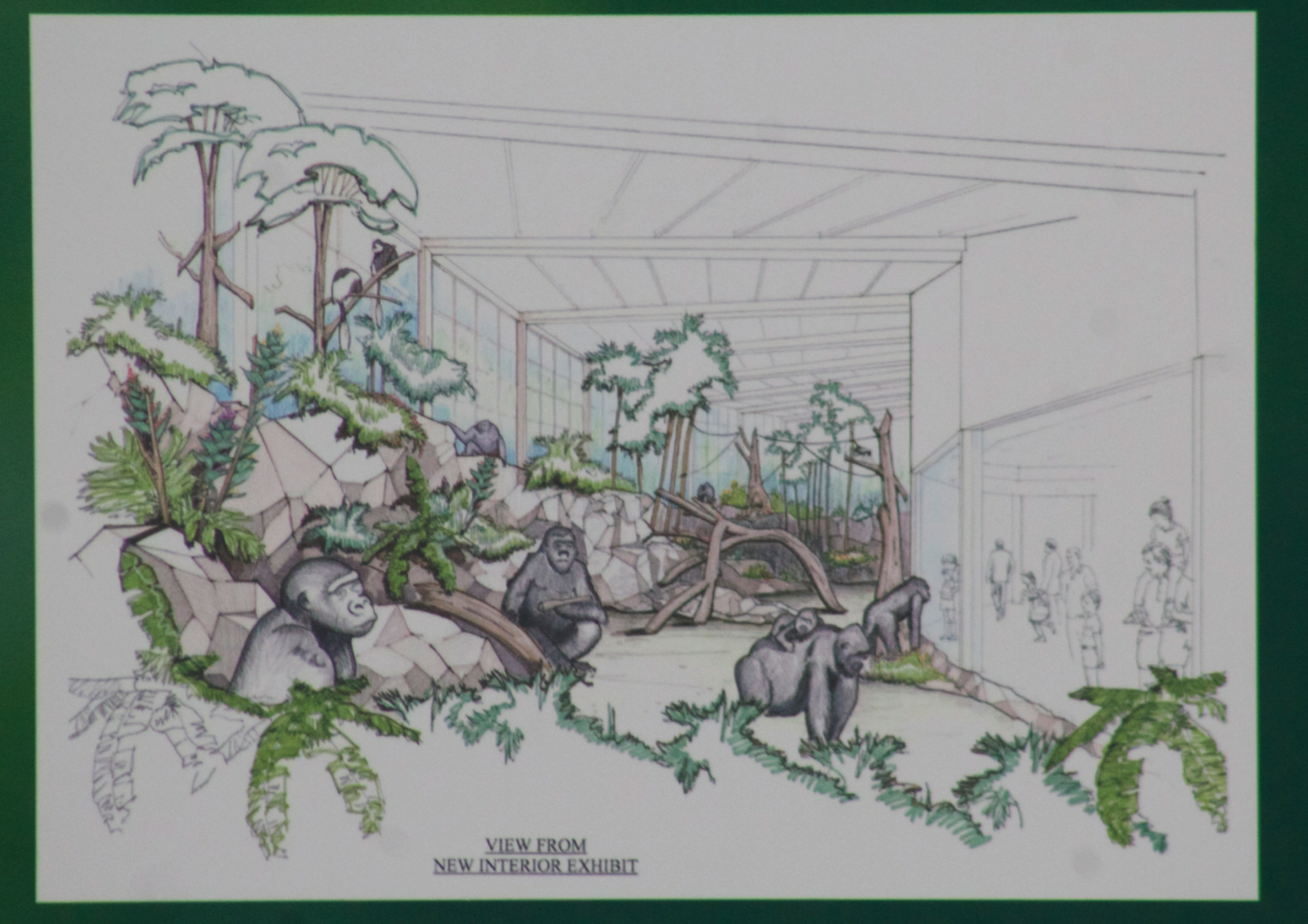 Jan. 2017 - Gorilla World - Rendering of Expansion