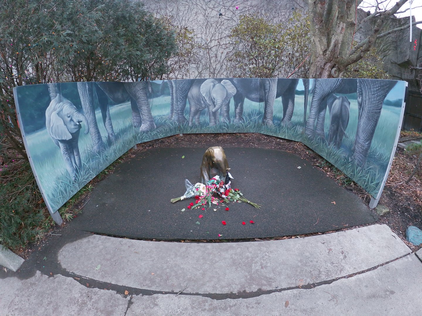 Jan. 2019 - Asia Quest - Flowers Commemorating Baby Ellie