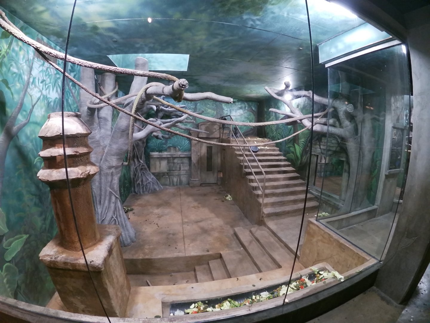 Jan. 2019 - Asia Quest - Newly Renovated Silvery Langur Indoor Exhibit (Left Side)