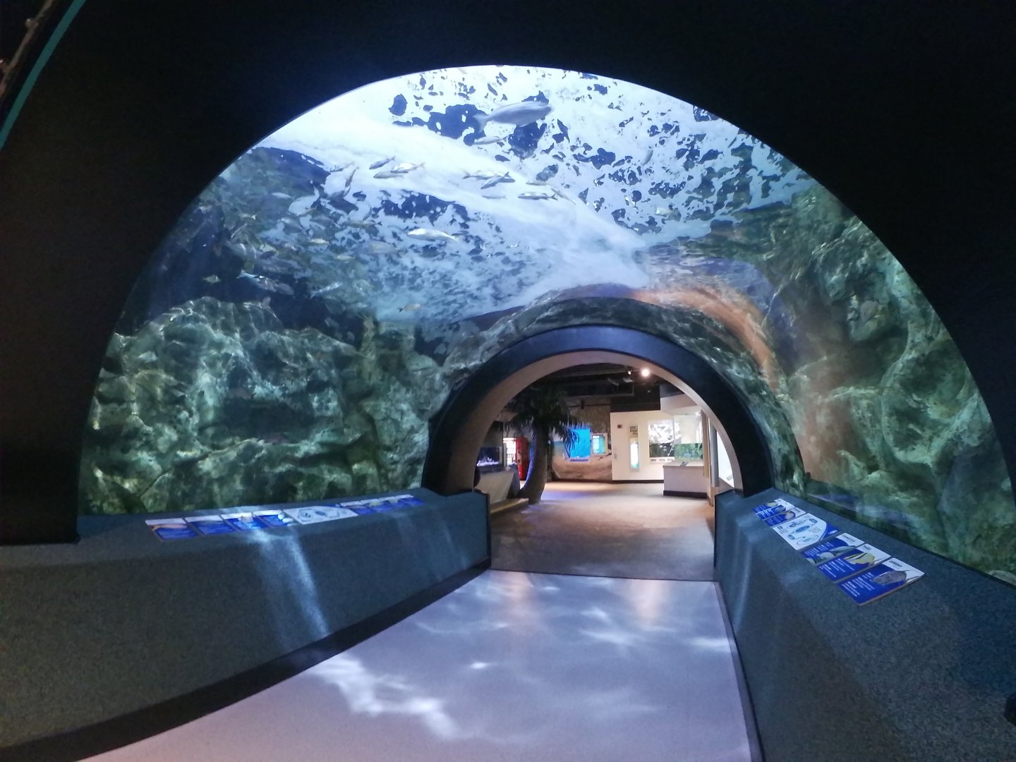 Jan. 2019 - Caribbean Cove Tunnel