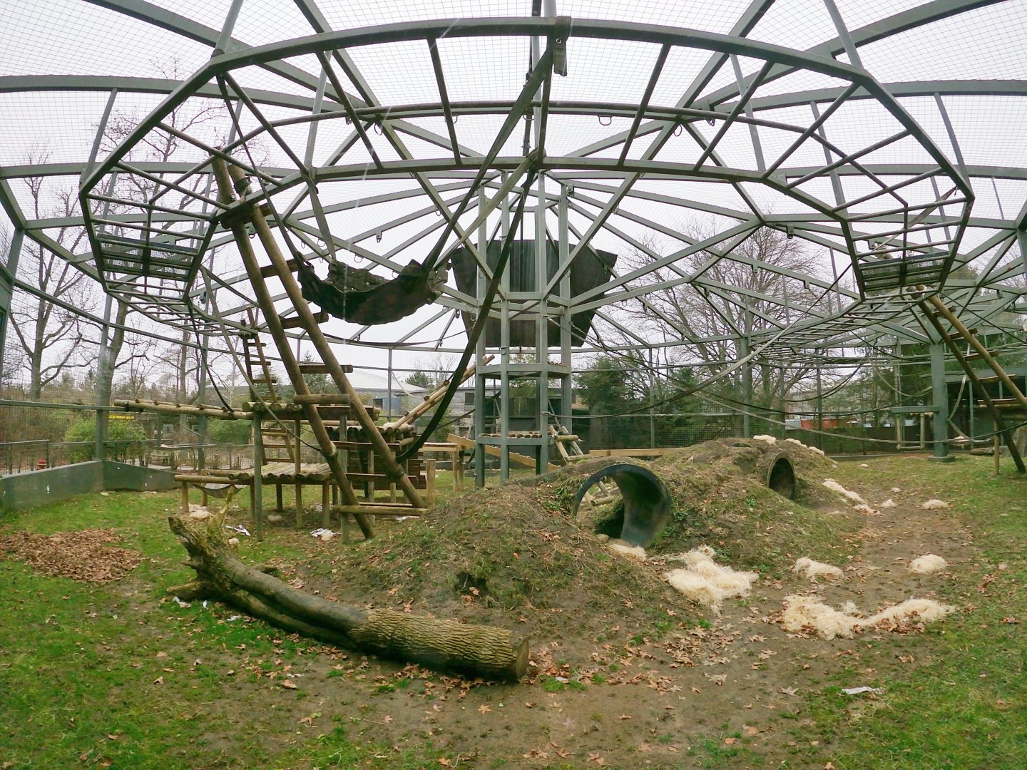 Jan. 2019 - Congo Expedition - Gorilla Exhibit Pano
