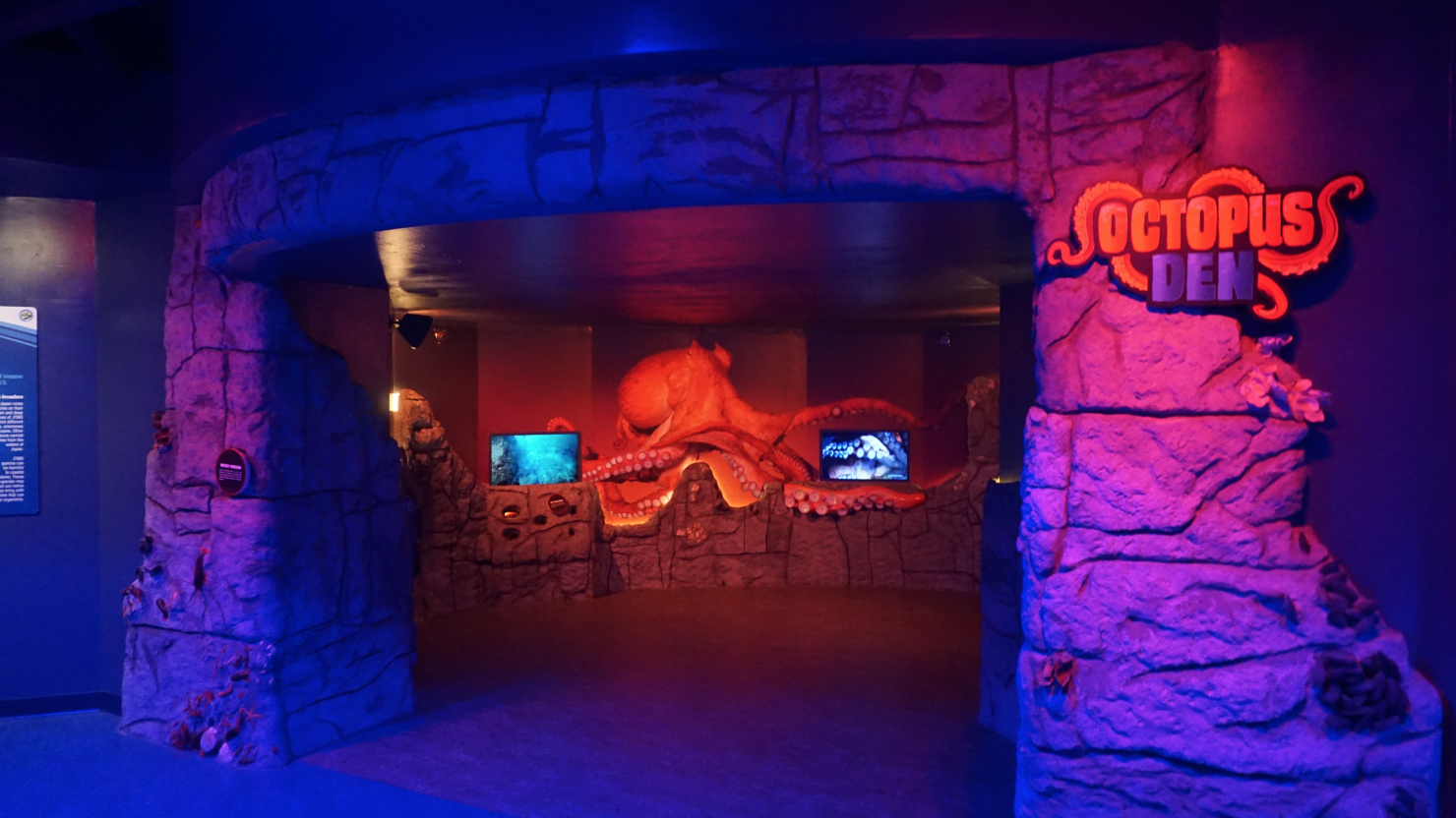 Jan. 2019 - New 2018! The Ring of Fire - Octopus Den