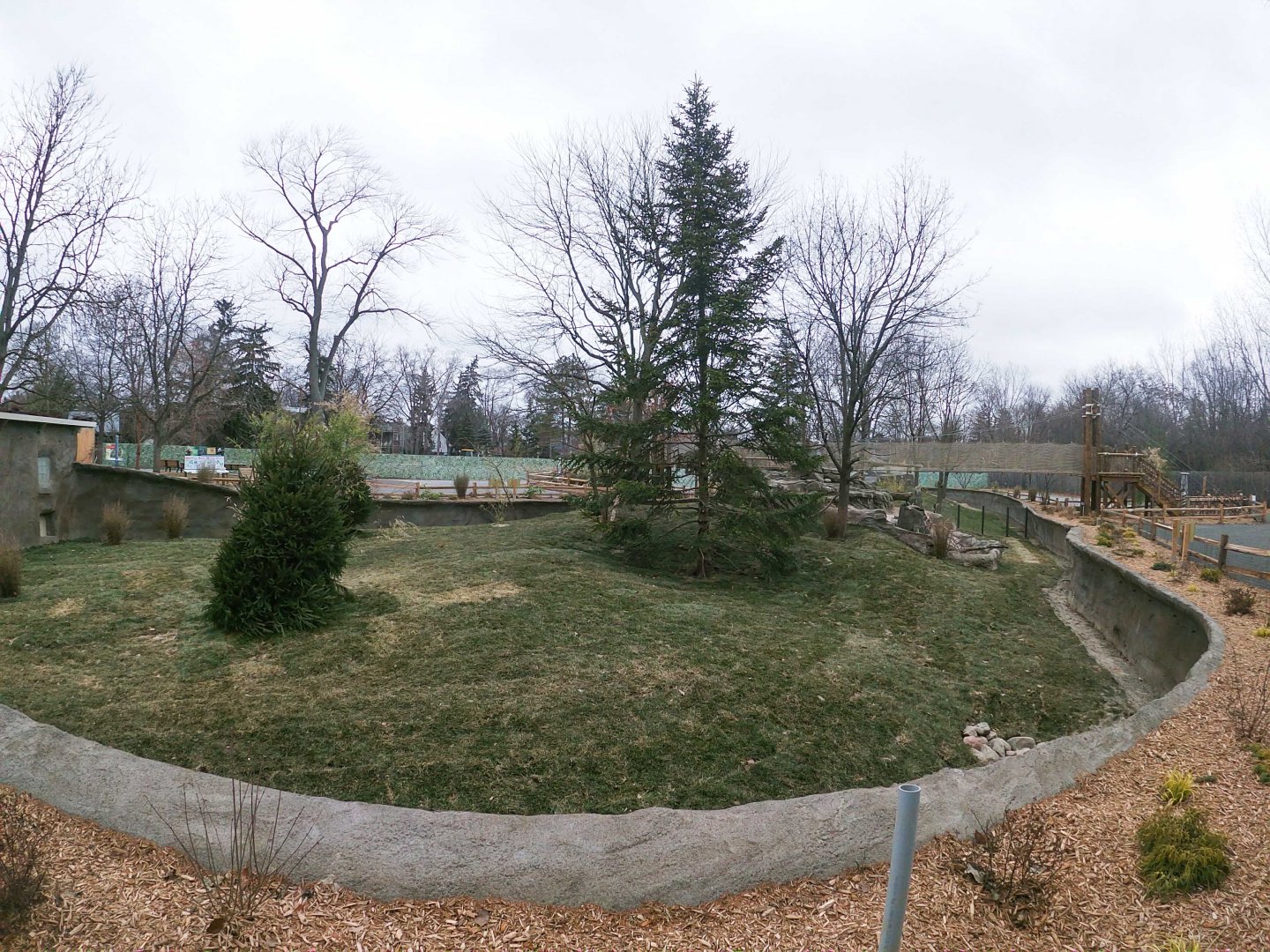 Jan. 2019 - New! Red Panda Forest - Left Exhibit