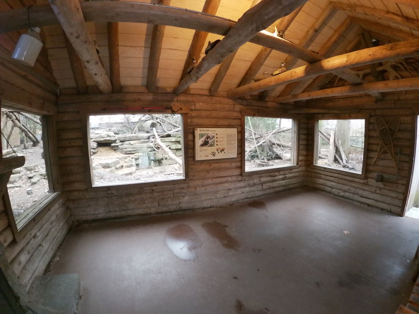 Jan. 2019 - North America - Wolverine Cabin Viewing