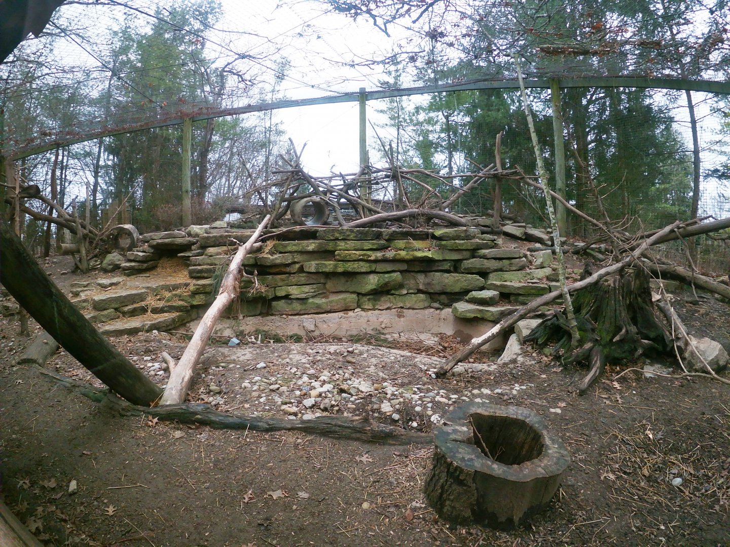 Jan. 2019 - North America - Wolverine Exhibit