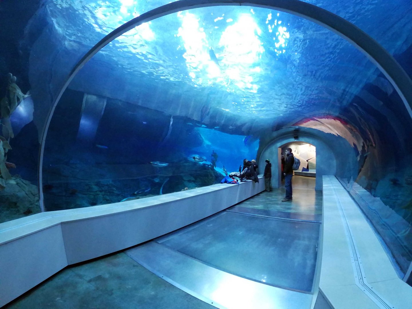 Jan. 2019 - Penguin Conservation Center - First Tunnel