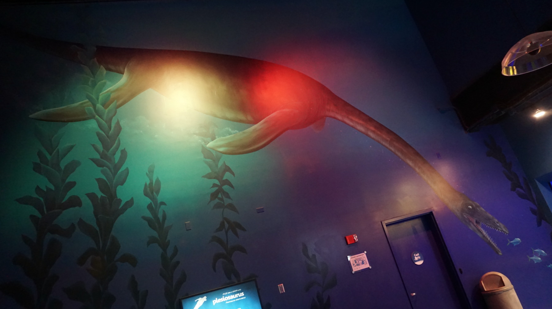 Jan. 2019 - Plesiosaur