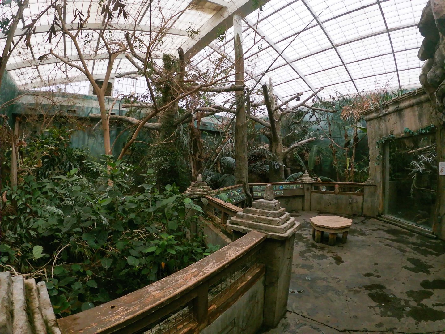 Jan. 2019 - Roadhouse - Aviary (22 Species)