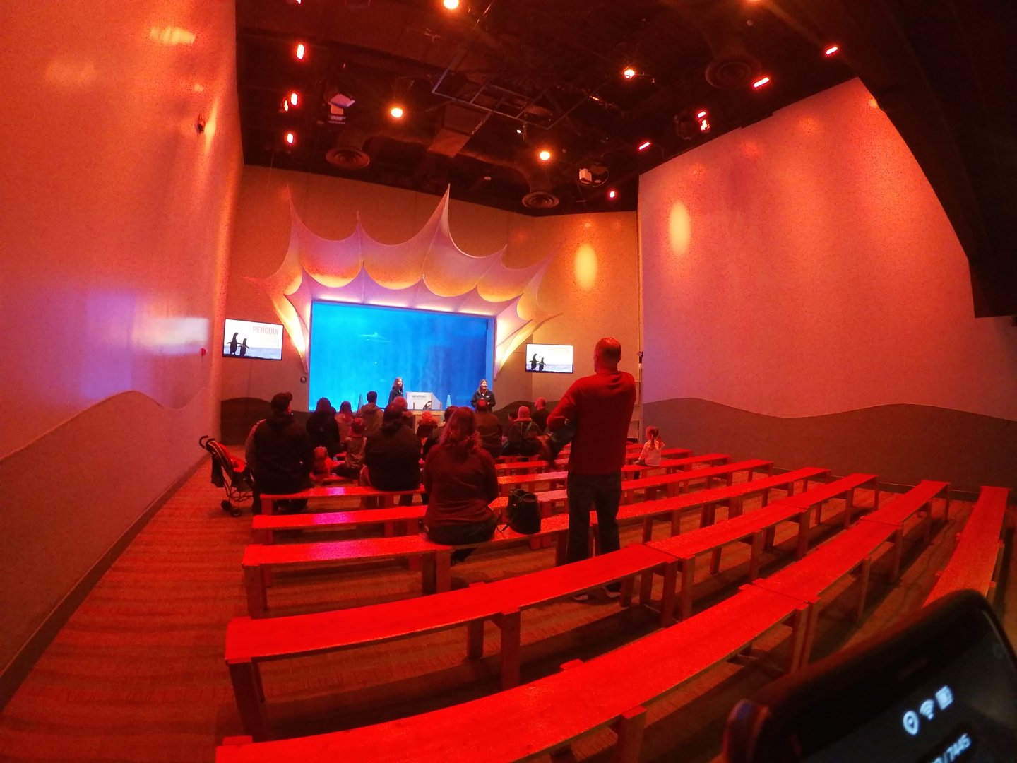 Jan. 2019 - Shark Ray Bay Theater