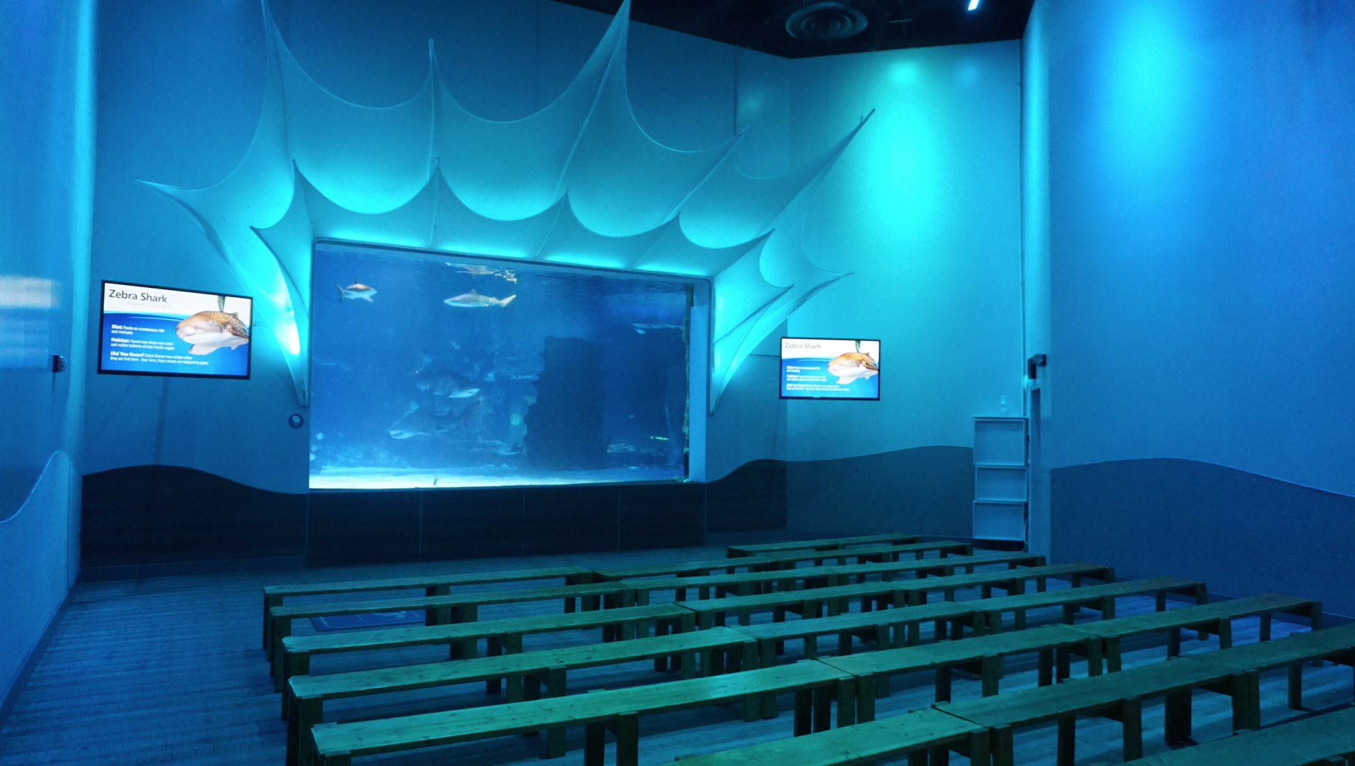 Jan. 2019 - Shark Ray Bay Theater