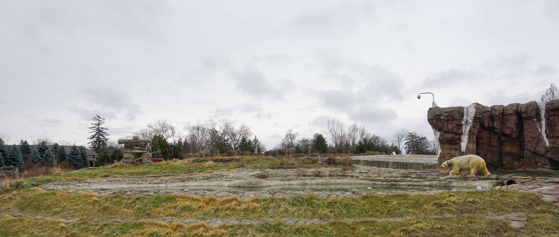 Jan. 2019 - The Arctic Ring of Life - 0.6 Acre Tundra Habitat