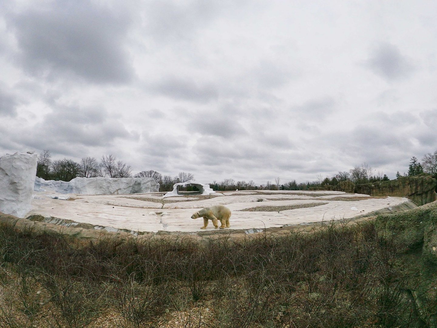 Jan. 2019 - The Arctic Ring of Life - 0.7 Acre Pack Ice Habitat