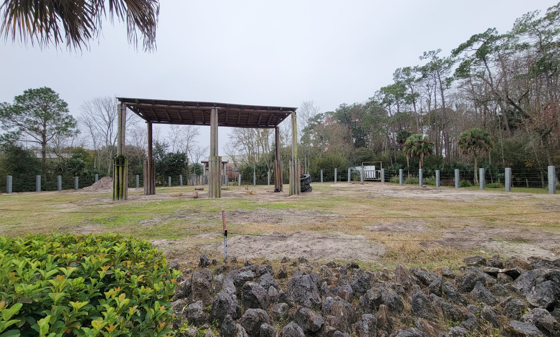 Jan. 2022 - Africa Loop - African Elephant Exhibit - Main Yard