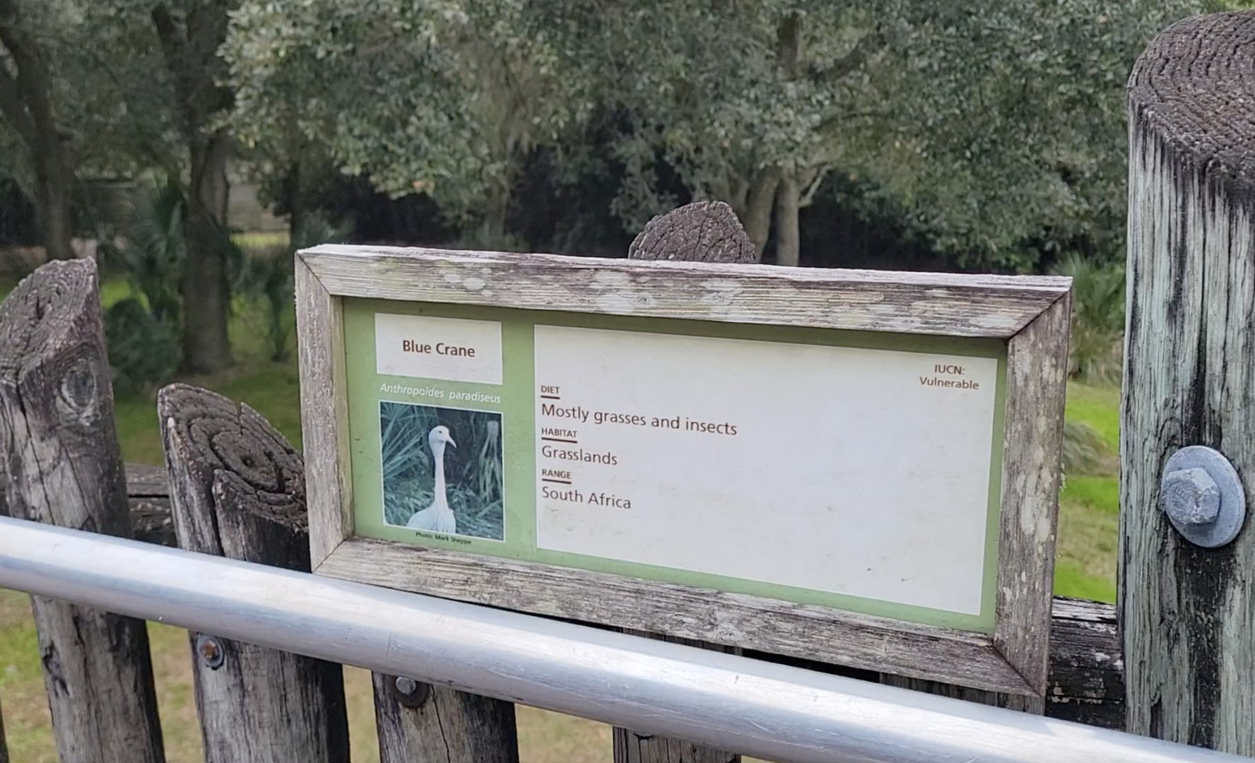Jan. 2022 - Africa Loop - Plains of East Africa - Blue Crane Sign