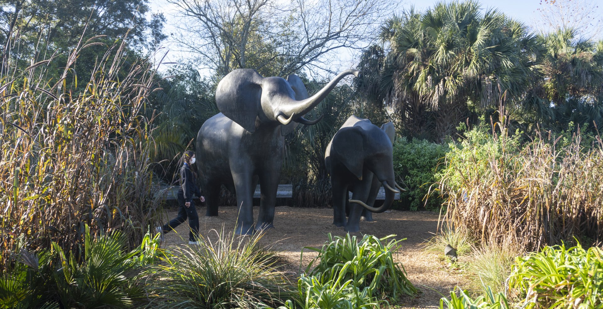 Jan. 2022 - Africa Loop - Savannah Blooms