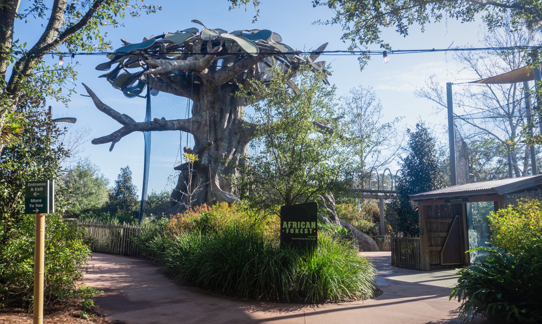 Jan. 2022 - African Forest - Entrance