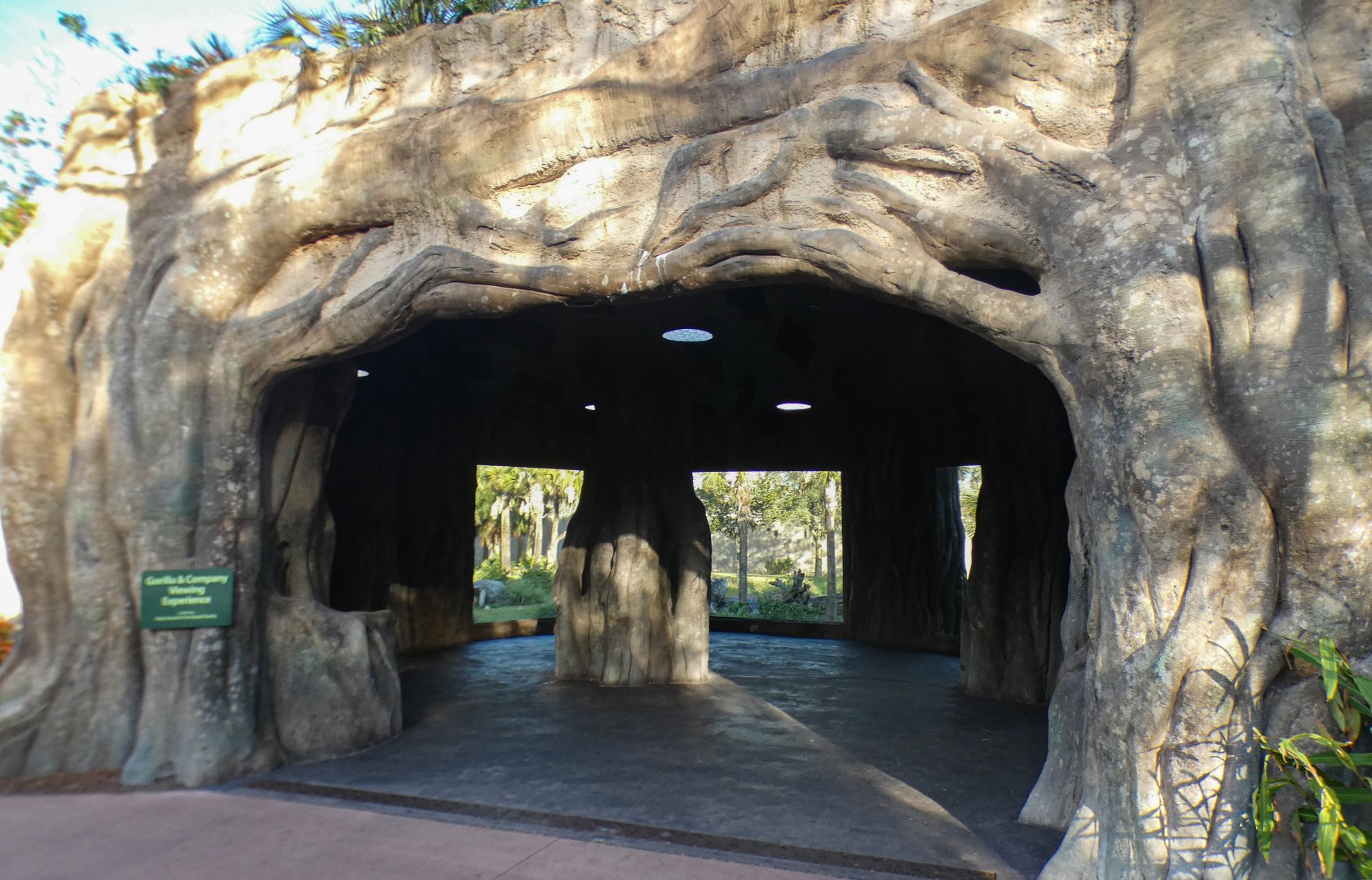 Jan. 2022 - African Forest - Gorilla Shelter Viewing