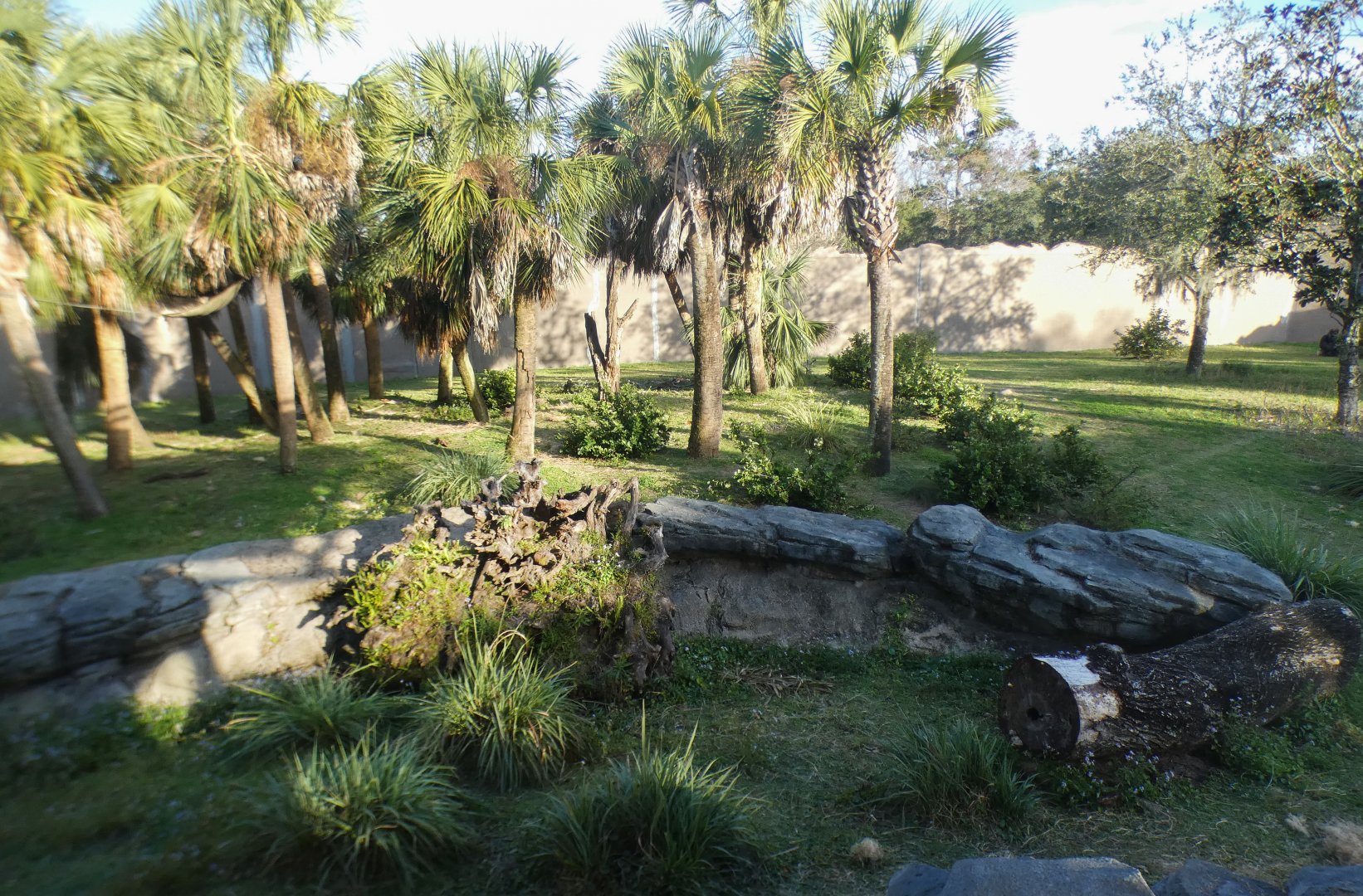 Jan. 2022 - African Forest - Half Acre Gorilla Exhibit - Middle View